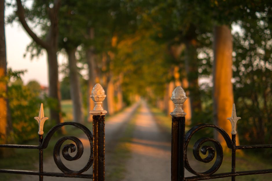 Black iron gate finials and scrolls framing a tree-lined gravel lane at sunset.